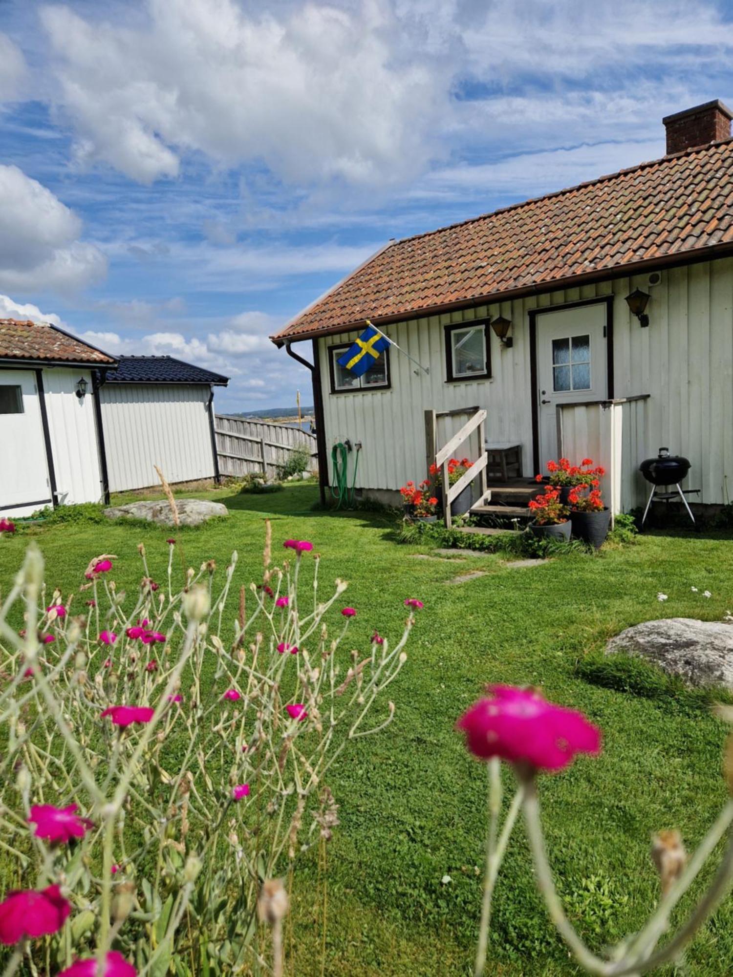 Cabin At The Sea Close To Public Beach With A Jumpingtower Hoviksnas Eksteriør billede